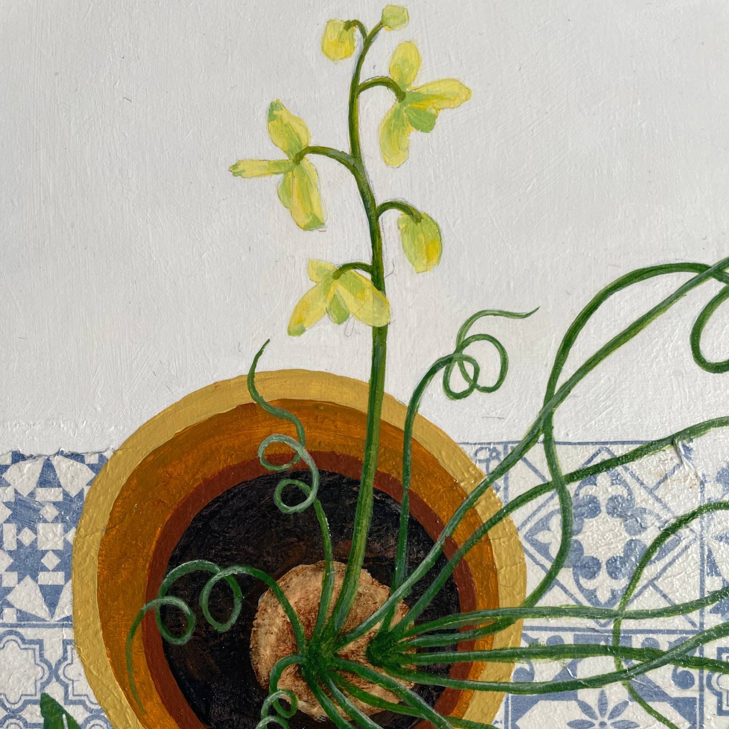 Cacti and Succulents | Floral Still Life | Mixed Media Original Artwork