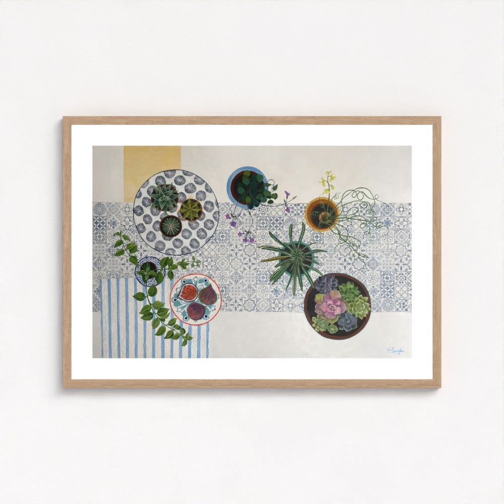 Cacti and Succulents | Floral Still Life | Fine Art Prints