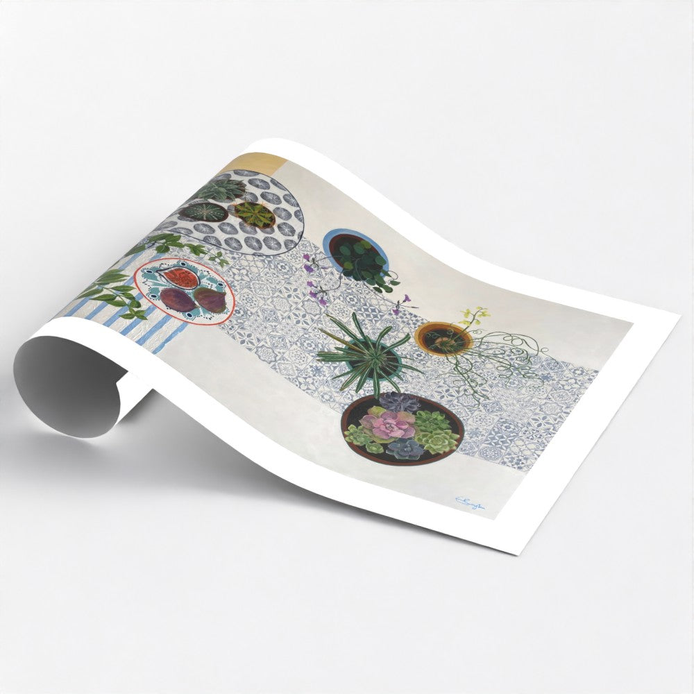 Cacti and Succulents | Floral Still Life | Fine Art Prints
