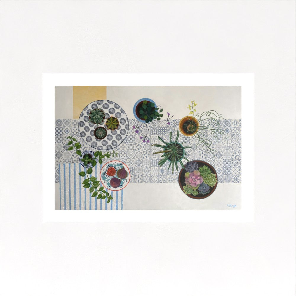 Cacti and Succulents | Floral Still Life | Fine Art Prints