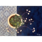 Into the Blue | Floral Still Life | Canvas Print