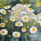 Chamomile Spring | Bodrum Series | Mixed Media Original Landscape