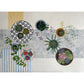 Cacti and Succulents | Floral Still Life | Mixed Media Original Artwork
