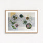 Cacti and Succulents | Floral Still Life | Fine Art Prints