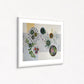Cacti and Succulents | Floral Still Life | Fine Art Prints
