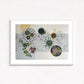 Cacti and Succulents | Floral Still Life | Fine Art Prints