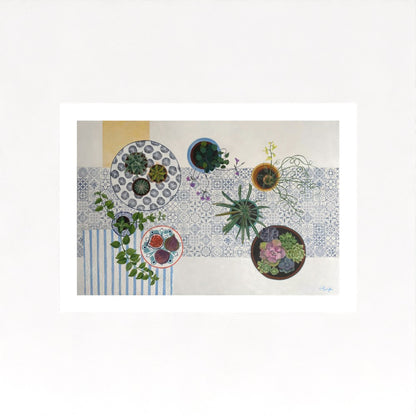 Cacti and Succulents | Floral Still Life | Fine Art Prints